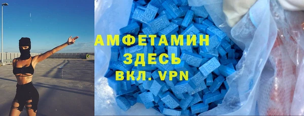 ешки Горняк