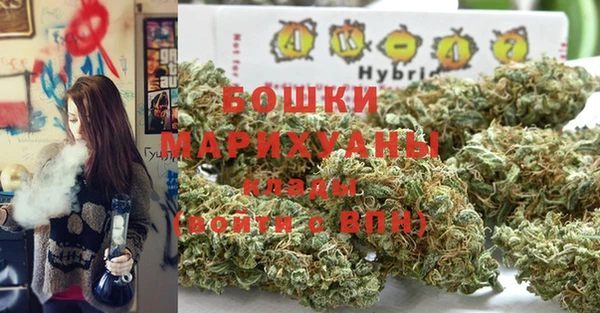 круглые Вяземский